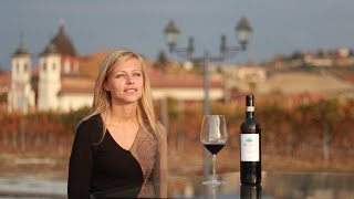 ENOLOCANDA DEL TUFO - VINO - DOGLIANI