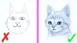 Урок Рисования ✎ КАК НАРИСОВАТЬ КОТЕНКА? ✎ Основные ошибки ✎ КАК НАУЧИТЬСЯ РИСОВАТЬ