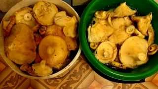 Грузди соленые