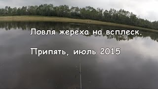 Ловля жереха на всплеск р. Припять 2015 Беларусь Fishing for asp on splash. GoPro