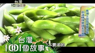 毛豆我最大！豆農開雙B巡田 part4【台灣1001個故事】