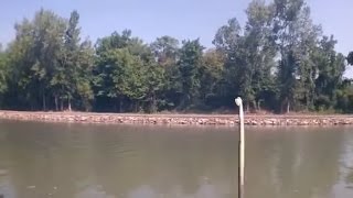 bank fishing catfish big water snake