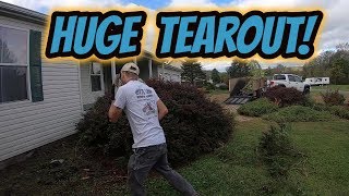HUGE Shrub Tearout! | Tree Removal