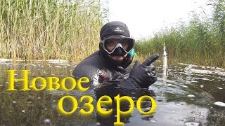 Подводная охота на новом месте  или Самострел в камышах!