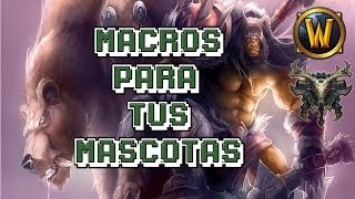 Guia de mascotas y macros para Cazador en WoW (funcionan en clasico)