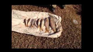 AMAZING FISHING TOUR 2013 ATTOCK CITY PAKISTAN