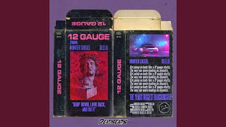 12 Gauge