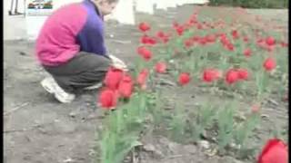 ProTV CHisinau - Traim intr o tara in care mii de copii plang seara de seara