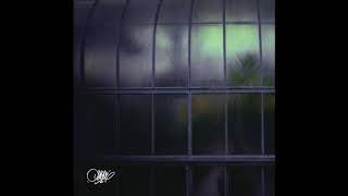 Spaze Windu - Opaque [Full BeatTape]