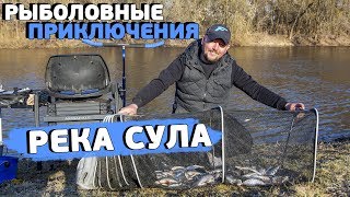 Рыбалка на фидер 2019! Фидерная ловля плотвы весной на Суле! Рыболовные приключения 12!