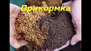 Русская рыбалка 4 Прикормка
