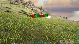 ARK: Рейд вивой! Жирные доты