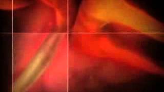 Реклама для TV  Сигареты