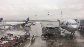 Полет Москва✈️Майами на самолете AIRBUS A330 FLIGHT MOSCOW-MIAMI AEROFLOT