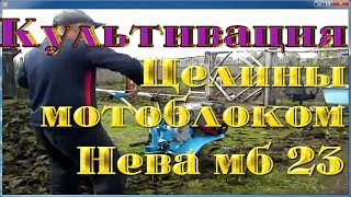 Культивация целины мотоблоком Нева мб 23