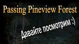 Passing Pineview Forest Знакомимся с игрой