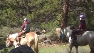 Rocky Mountain National Park, Cub Lake Trailhead - Birdwatching Tour, 25 May 2016