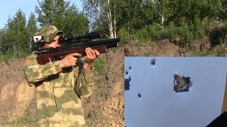 PCP винтовка Тайпан Мутант 5,5 или мелкашка 22LR? Что выбрать?