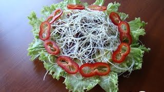 Салат с мясом и баклажанами  Рецепт салата