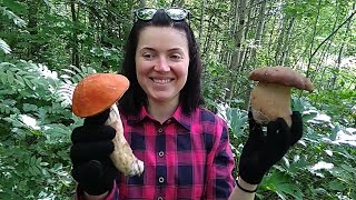 Ура Лето пришло! 1 июня 2019 года. Собираем белые и подосиновики.