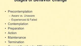 Health 335: Transtheoretical Model 1