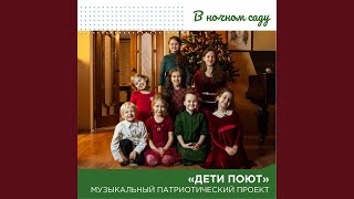 В ночном саду
