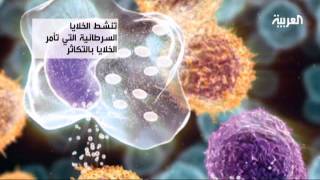 السكر غذاء الخلايا الرئيس ضمنها الخلايا السرطانية