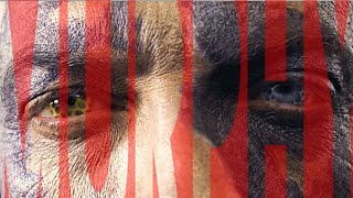 Murphy tribute  || Z Nation || Dangerous