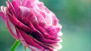 Пойте Иегове 68 "Молитва сокрушенного духом" | A Prayer of the Lowly One
