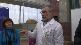 Гребни у кур. Вахрамеев А.Б. Выставка породных птиц и кроликов в Екатеринбурге