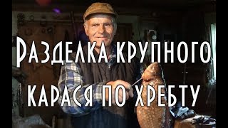 ? РАЗДЕЛКА КРУПНОГО КАРАСЯ ПО ХРЕБТУ 16+ показывает рыбак таежник