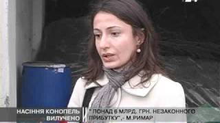 Насіння конопель вилучено