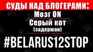 Задержан Серый кот, повестки в суд блогерам, развод предпринимателей #belarus12stop