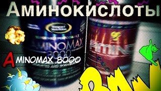 Аминокислоты: какие выбрать и что лучше ?(Amino X vs AminoMAX 8000)