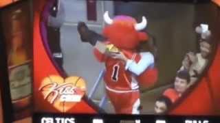 Benny The Bull Kiss Cam Steals Celtic's Fan Girlfriend - FULL VIDEO