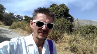 Каштаны в Испании, что это? И с чем их едят.