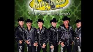 Creo En Ti - Indomable De Chihuahua 2014