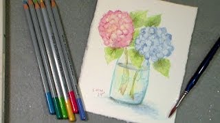 watercolor pencil hydrangea