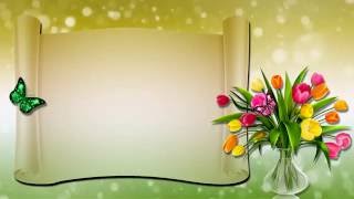 ФУТАЖ ДЛЯ ПОЗДРАВЛЕНИЙ  тюльпаны и бабочки