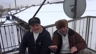 Николаевские голуби. В питомнике Машошина В.В.
