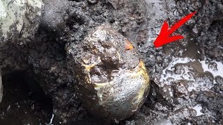 РАСКОПАЛИ ЗАТОПЛЕННОЕ СЕЛО НА ОСТРОВЕ!!! От Этих Находок Рвет Чердак!