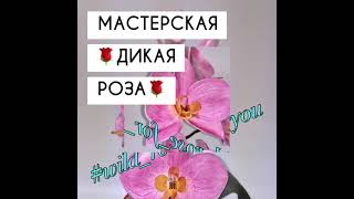 Светильник "Орхидея-Комплимент"