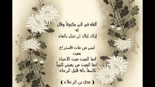 أجمل ما كتب شعراء العرب