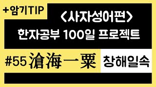 창해일속/사자성어/한자강의/공무원한자/한자급수/한자공부100일프로젝트