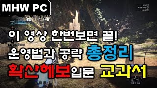 [MHW PC] 확산헤보 총정리, 한번보고 끝낸다!   ㅣ   나그네