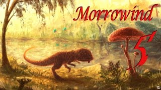 5 Совместное прохождение Morrowind HD Overhaul
