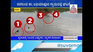 Buffaloes Stranded In Flood In Gadag Due To Heavy Rain