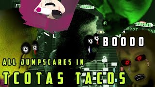 ALL JUMPSCARES IN THE CHRONICLES OF THE AGK STUDIO BUT THE CREATOR BREAKS THE GAME AT THE END!