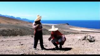 Trío Zapatista - Paracetamol