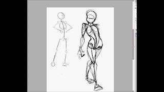 Female Anatomy 1